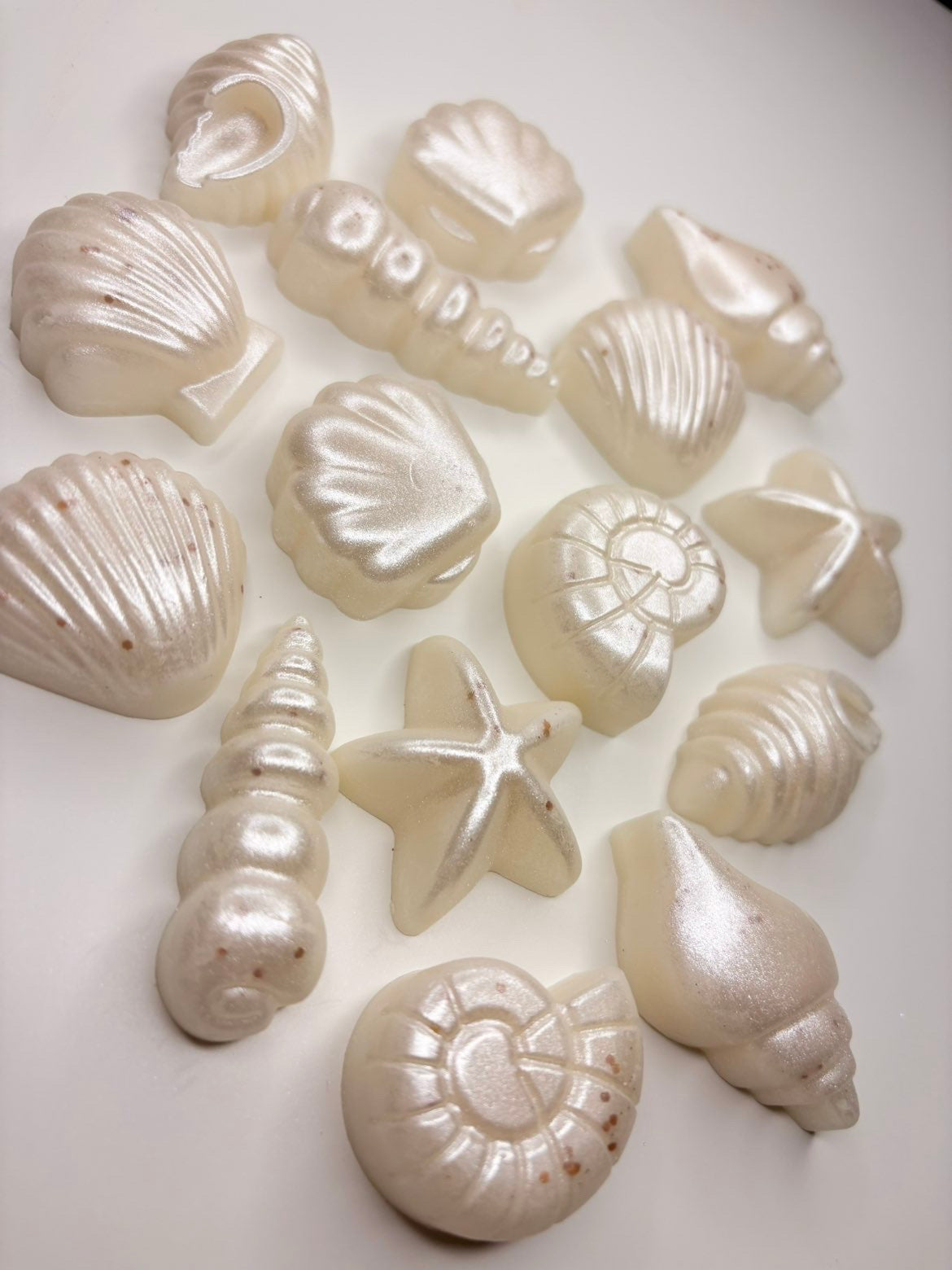 Tide Kissed Seashells