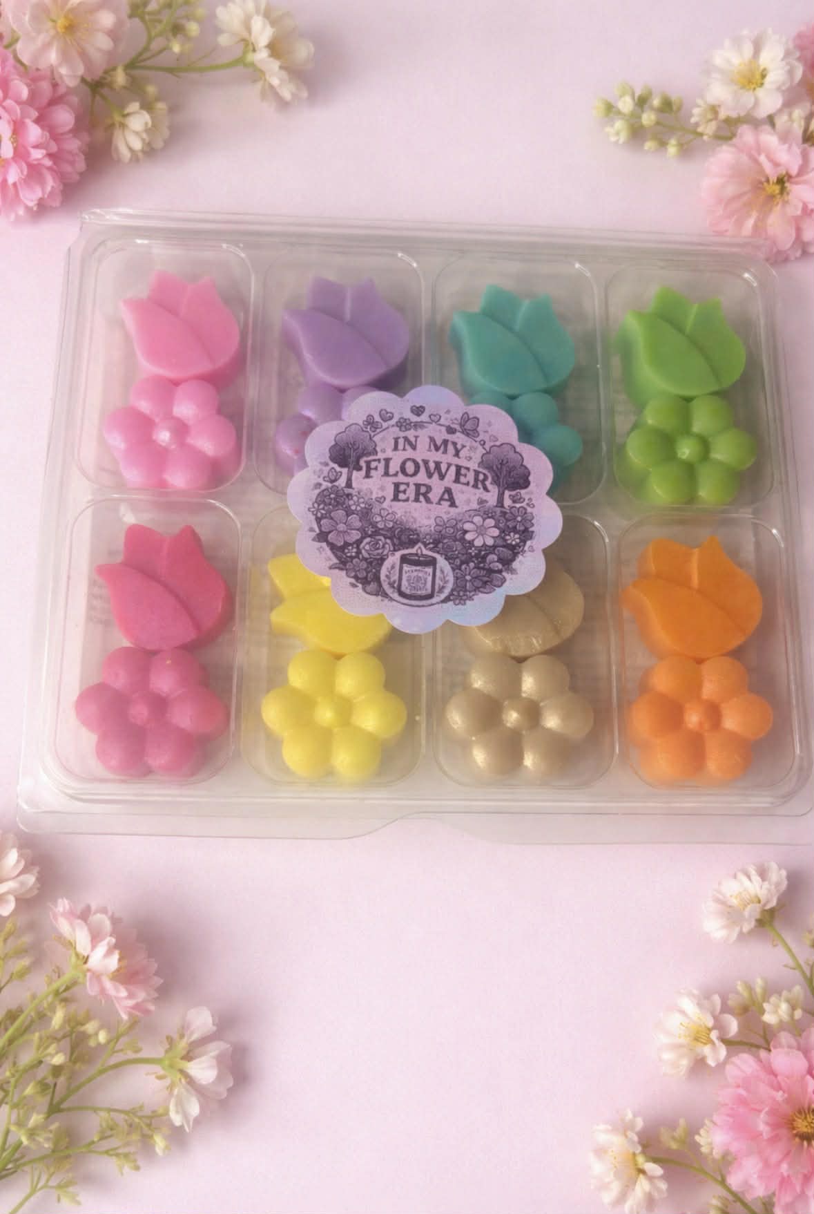 Clamshell Collections
