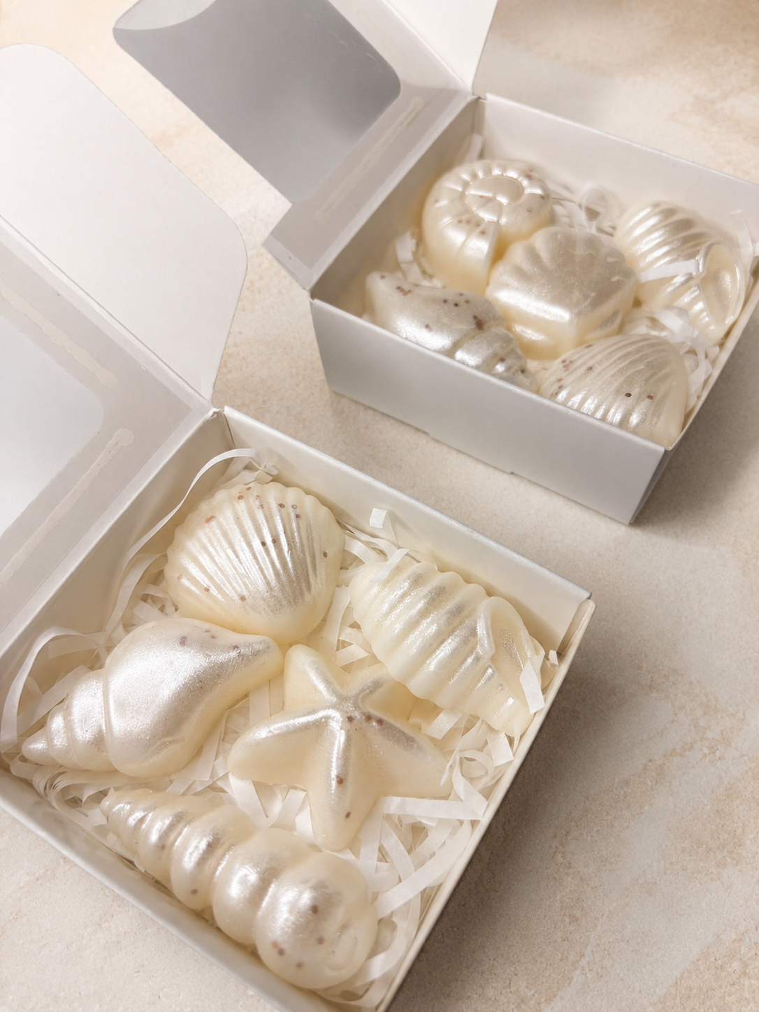 Tide Kissed Seashells