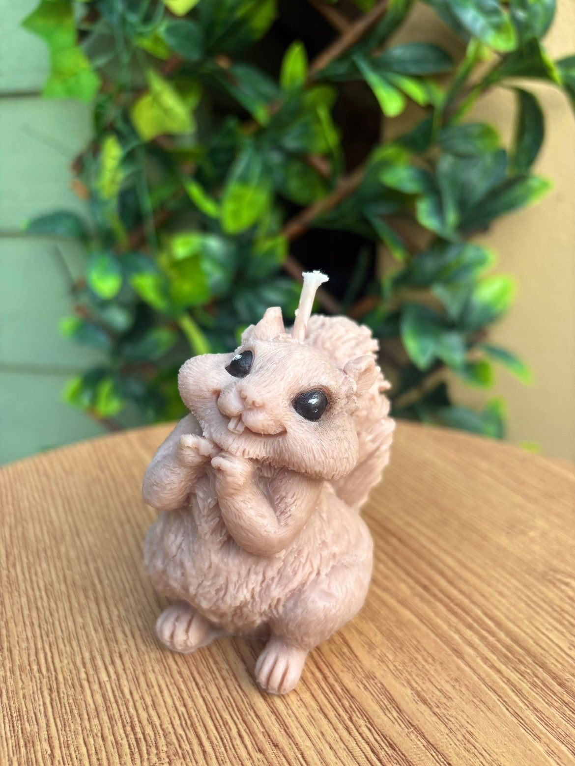 Mr Nibbles Candle