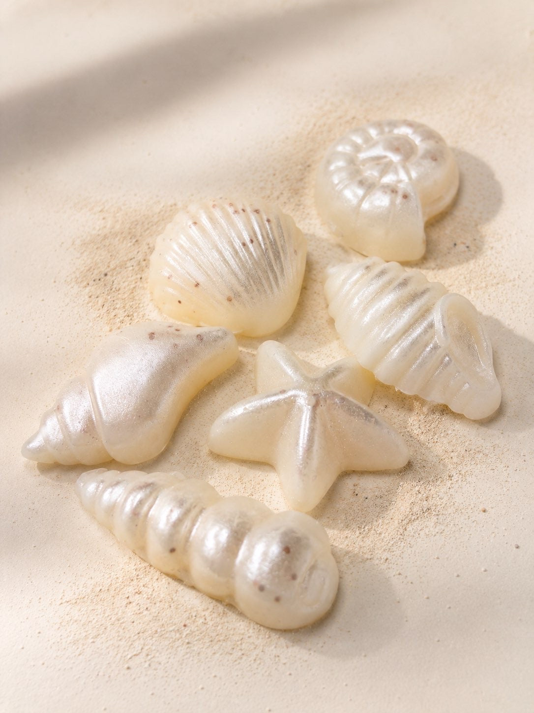 Tide Kissed Seashells